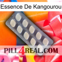 Kangaroo Essence 08